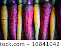 Colorful carrots 16841042