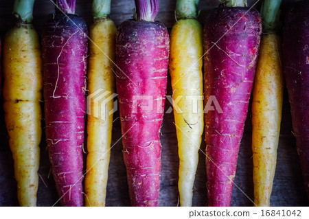 Colorful carrots Colorful carrots 16841042