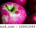 Macro shoot of an apple with drops of water on it 16841044
