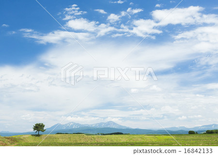 Summer landscape 1 Summer landscape 1 16842133
