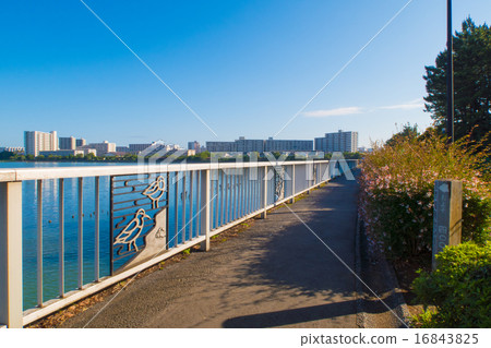 Scenery of Yatsu tidal flat 16843825
