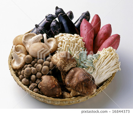 Vegetable collection 16844373