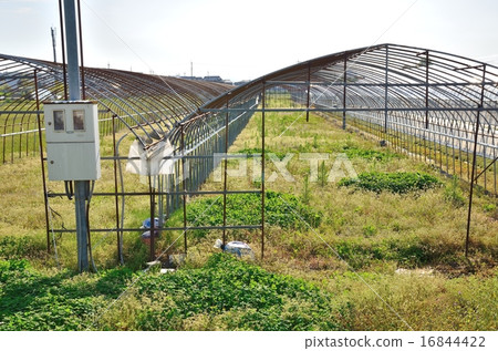 Abandoned vinyl house 16844422