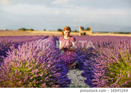 Romantic woman in lavender fields, having vacations in Provence, 16845269