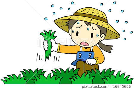 雜草的女性 16845696