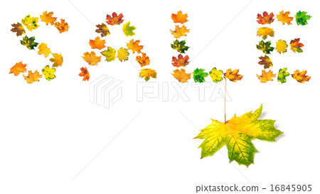 Autumn maple-leaf and word S A L E 16845905