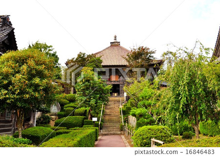 Nemoto: Sado 16846483