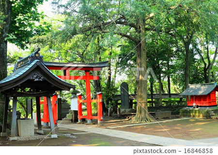 Otaniwa Hikawa Shrine 16846858