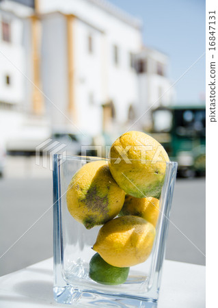 Lemon and lime in a square glass At a resort under summer sunlight 16847131