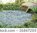 Part of the garden 16847203