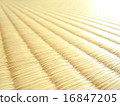 Up of tatami mats 16847205