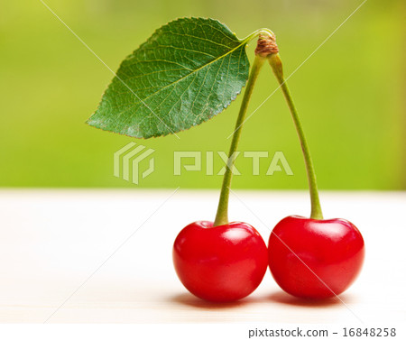 Two Cherries with leaf on white table, small dof 16848258