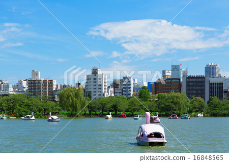 休閒船在上野的非Ninomiyake池塘和藍天 休閒船在上野的非Ninomiyake池塘和藍天 16848565