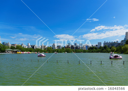 休閒船在上野的非Ninomiyake池塘和藍天 16848566
