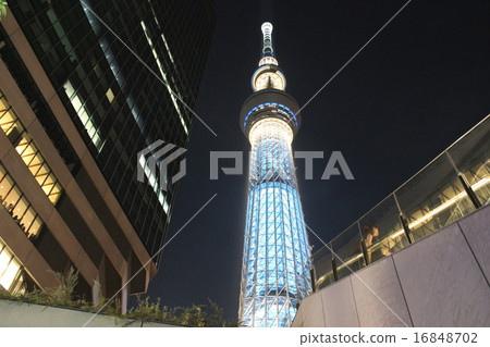 東京天空樹點亮與大廈 東京天空樹點亮與大廈 16848702