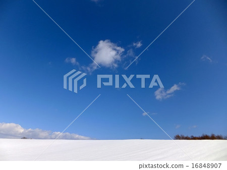 Blue sky and snowy field Blue sky and snowy field 16848907