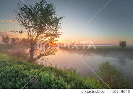 Colourful sunset on the river Colourful sunset on the river 16849646