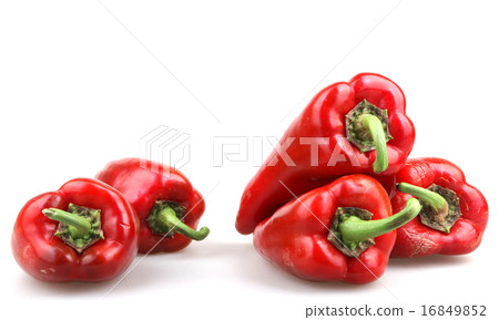Red chilli peppers on white background Red chilli peppers on white background 16849852