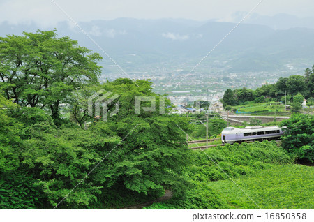 JR Chuo Line Limited Express Super Azusa E351 train going in the winemachine wine field 16850358