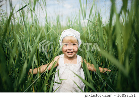 little girl in high grass little girl in high grass 16852151