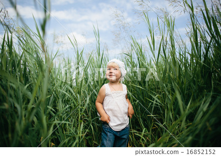 little girl in high grass little girl in high grass 16852152