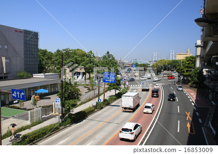 The streets of Yokohama 16853009