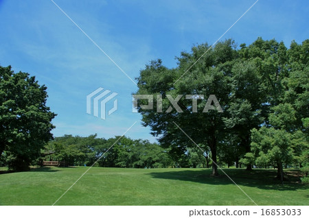 Kumagai Sakura Sports Park 4 16853033
