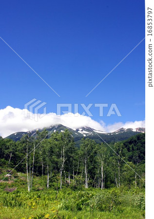 Shinshu Nagano, summer of Norikura Kogen Shinshu Nagano, summer of Norikura Kogen 16853797