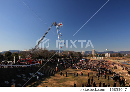 Initial formula 16855047