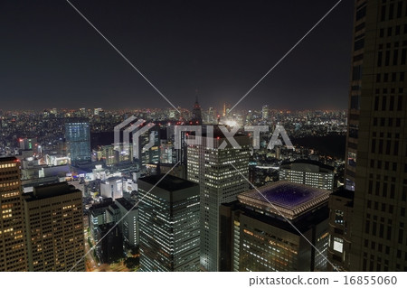 Tokyo night view 16855060