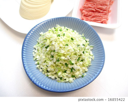 Preparing the ingredients of gyoza 16855422