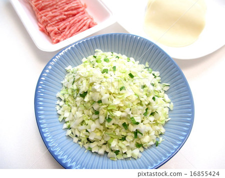 Preparing the ingredients of gyoza 16855424