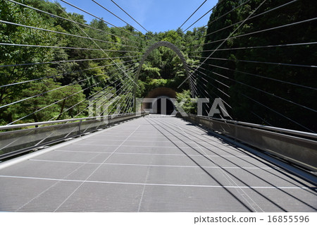 博物館 藝術館 滋賀 16855596