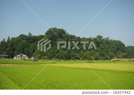 Kawasaki Castle Ruins 16857482