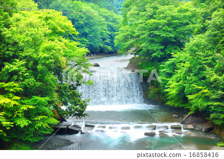 丹澤的中津川 16858416