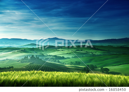 Early spring morning in Tuscany, Italy 16858450