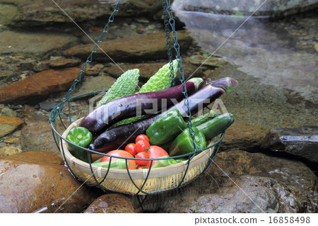夏季蔬菜在小川冷藏 夏季蔬菜在小川冷藏 16858498