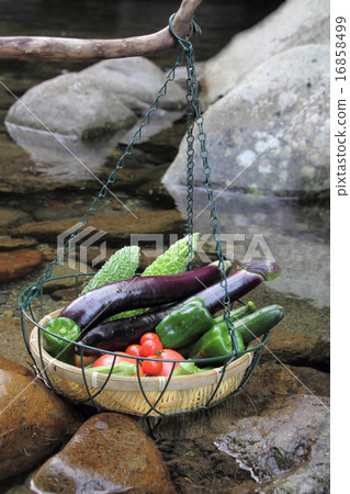 Summer vegetables to chill in Ogawa Summer vegetables to chill in Ogawa 16858499