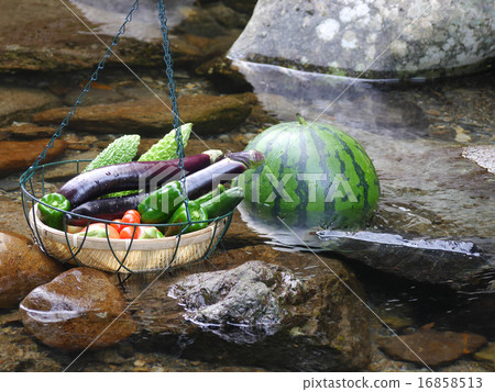 Summer vegetables to chill in Ogawa 16858513