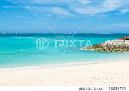 Mimi Beach Mimi Beach 16858763