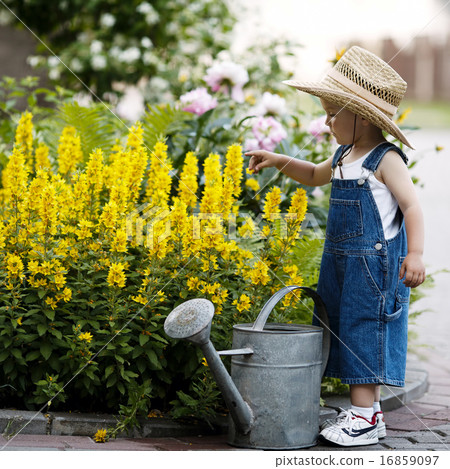 little boy with watering can in summer park 16859097
