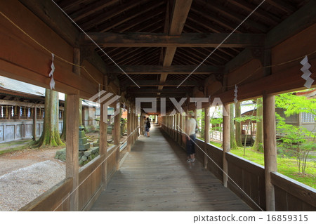 Suwa Taisha Futabashi Suwa Taisha Futabashi 16859315
