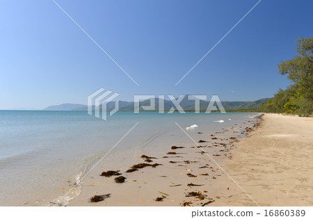 Port Douglas, Great Barrier Reef ,, Queensland, Australia-2 Port Douglas, Great Barrier Reef ,, Queensland, Australia-2 16860389