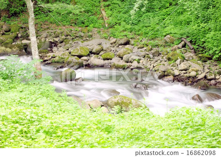 A beautiful and pure flow of Yukawa flowing through the mountains of Shinshu Shirahone hot spring A beautiful and pure flow of Yukawa flowing through the mountains of Shinshu Shirahone hot spring 16862098