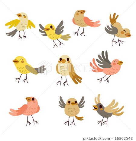 Cute Birds Collection 16862548