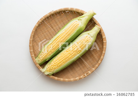 玉米 16862785