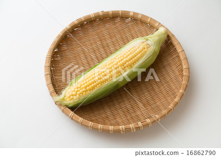 Corn Corn 16862790