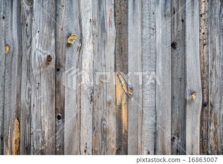 Wood texture 16863007