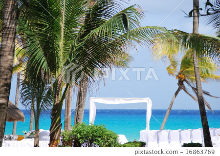 Wedding in the Caribbean beach 16863769