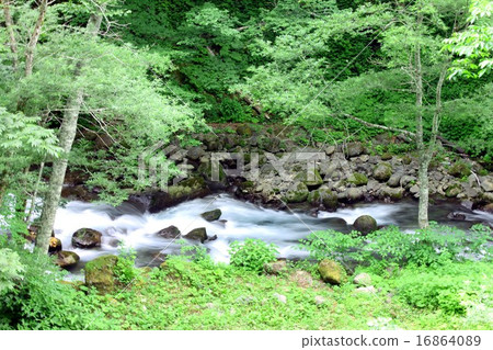 A beautiful and pure flow of Yukawa flowing through the mountains of Shinshu Shirahone hot spring 16864089